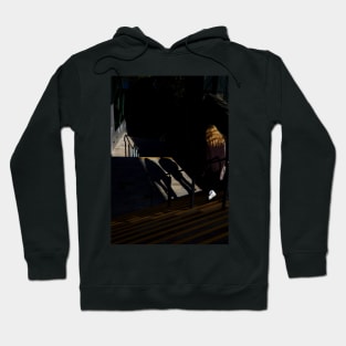 Descend the steps Hoodie